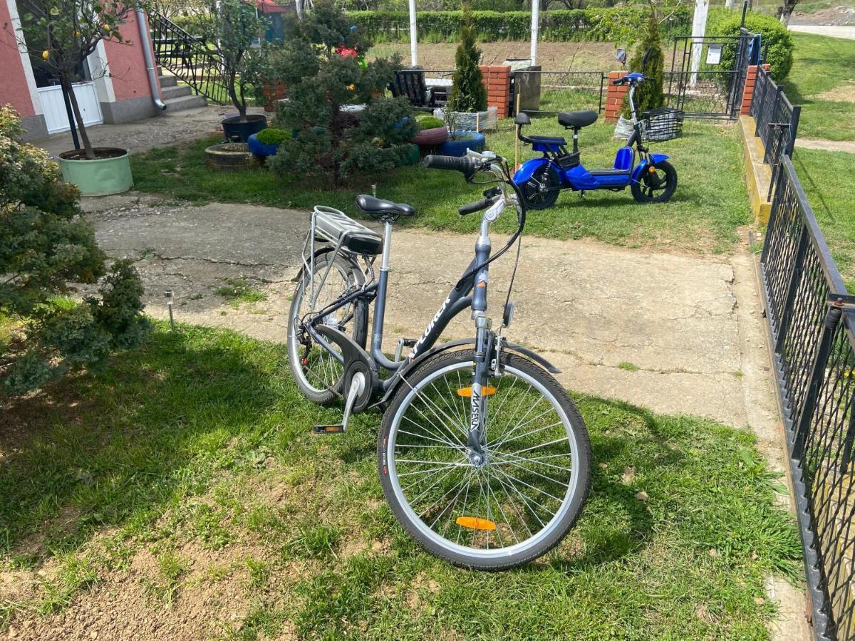 Apartman Pejovic Kladovo Buitenkant foto