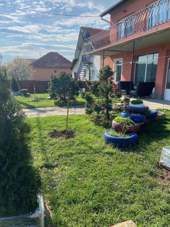 Apartman Pejovic Kladovo Buitenkant foto